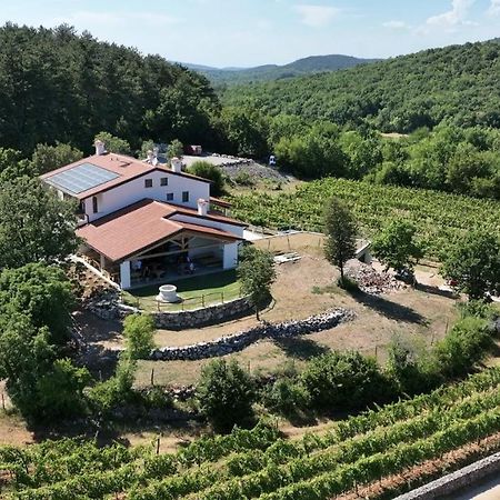 Agriturismo Budin Sgonico Екстериор снимка