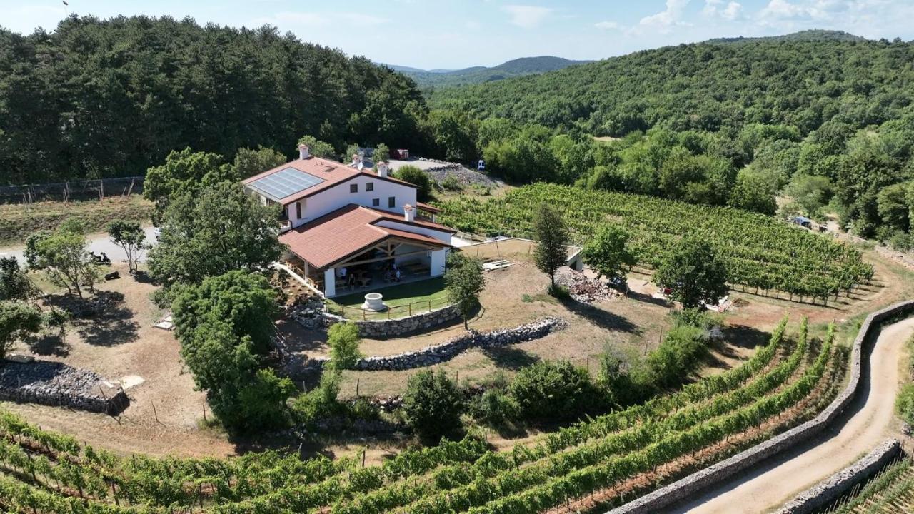 Agriturismo Budin Sgonico Екстериор снимка